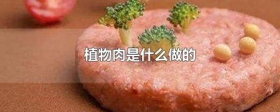 ​植物肉是什么做的