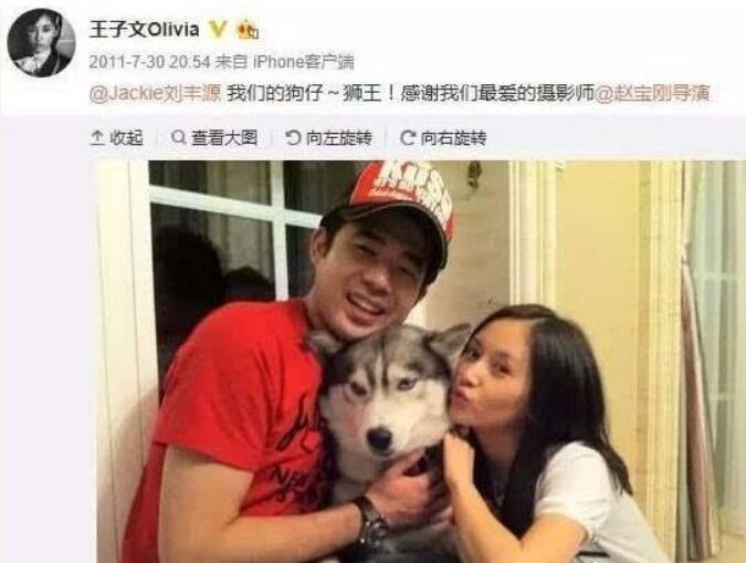 王子文老公刘丰源个人资料 王子文为什么离婚-图1