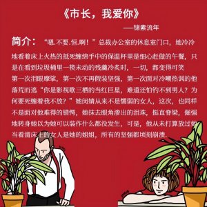 ​男主从政潜女主高干文（看了三遍以上的高干文推荐）