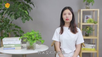 ​西米是什么