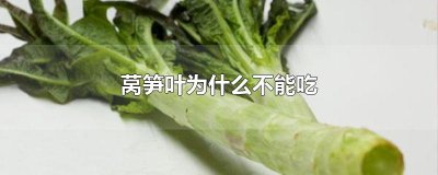 ​莴笋叶为什么不能吃