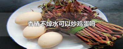 ​香椿不焯水可以炒鸡蛋吗