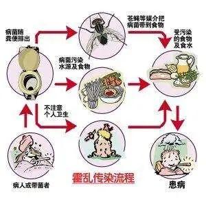 霍乱病原怎么预防（霍乱知识知多少）(8)