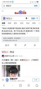 ​哈拉少是什么意思