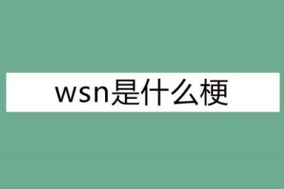 ​wsn是什么梗（wsn的意思）