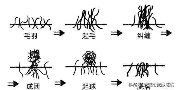 羊毛比羊绒便宜多少（羊绒羊毛价格差那么远）(8)