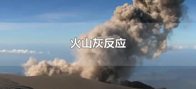 ​火山灰反应（火山灰反应原理）