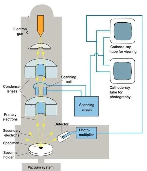 电镜扫描法（5大案例带你学会扫描电镜）(1)