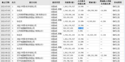 ​苏宁张近东现在做什么（张近东没了苏宁控制权）