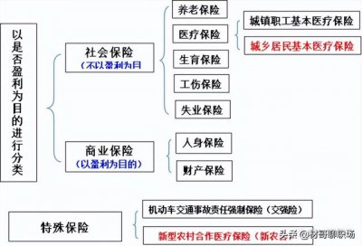 ​保险知识每日科普（读懂切身相关的保险知识）