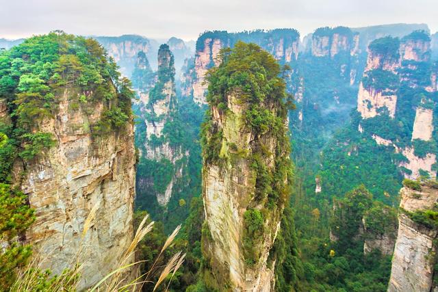 阿凡达悬浮山的取景地（阿凡达里的悬浮山）(4)