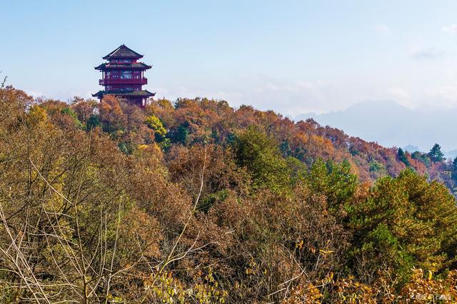 阿凡达悬浮山的取景地（阿凡达里的悬浮山）(6)