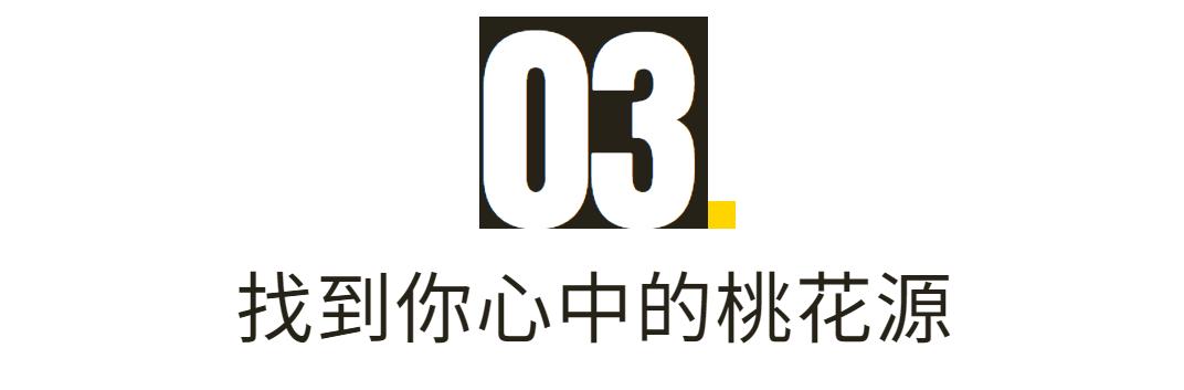 鲁迅的社戏经典语录（深度解读鲁迅社戏）(14)