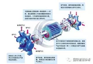 水环真空泵的优点和缺点（水环式真空泵详解）(2)