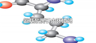 ​氨基酸属于内环境吗（氨基酸是不是内环境的成分）