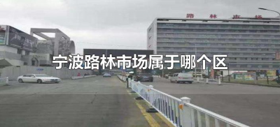 ​宁波路林市场属于哪个区（宁波路林市场是哪个区）