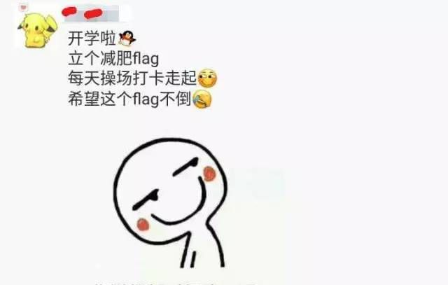 网上老说的Flag是什么意思