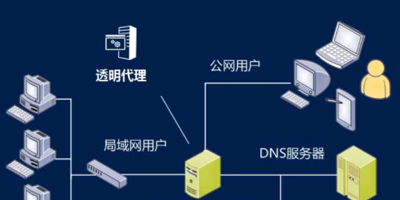 dns是什么意思,dns是什么图1