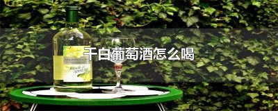 ​干白葡萄酒怎么喝(干白葡萄酒怎么喝是正确的)