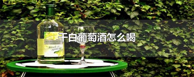 干白葡萄酒怎么喝(干白葡萄酒怎么喝是正确的)