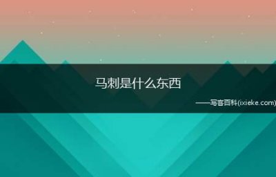 ​马刺是什么东西（马刺的使用历史可以追溯到古罗马或者更远的时期）