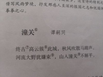 ​潼关古诗翻译（潼关古诗原文及翻译）