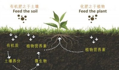 ​种花肥料的种类,盆栽花卉施肥的肥料种类