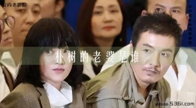 ​吴晓敏的老公是谁(朴树的妻子是吴晓敏吗)