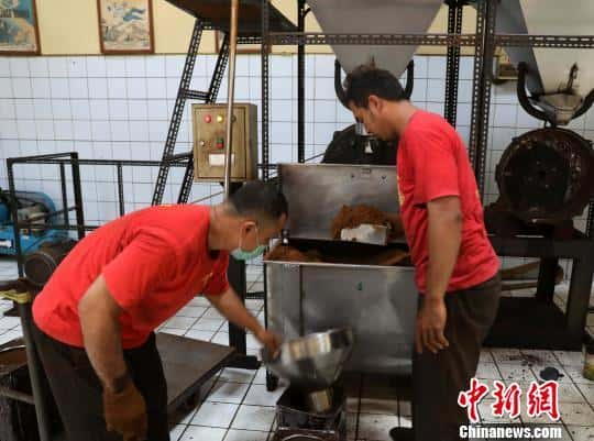 猫屎咖啡的品牌（猫屎咖啡原产地是哪个国家）