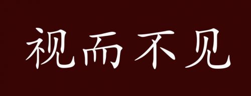 视而不见兄来到打一个字(视而不见兄来到打一动物)-第1张图片-