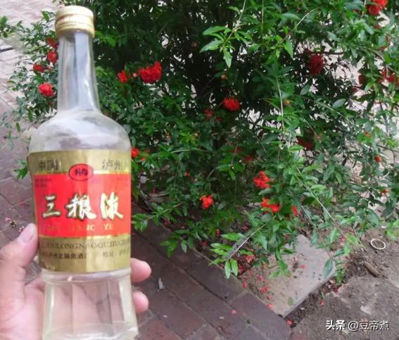 十款便宜又好喝的白酒粮食酒介绍（十大平民粮食酒）