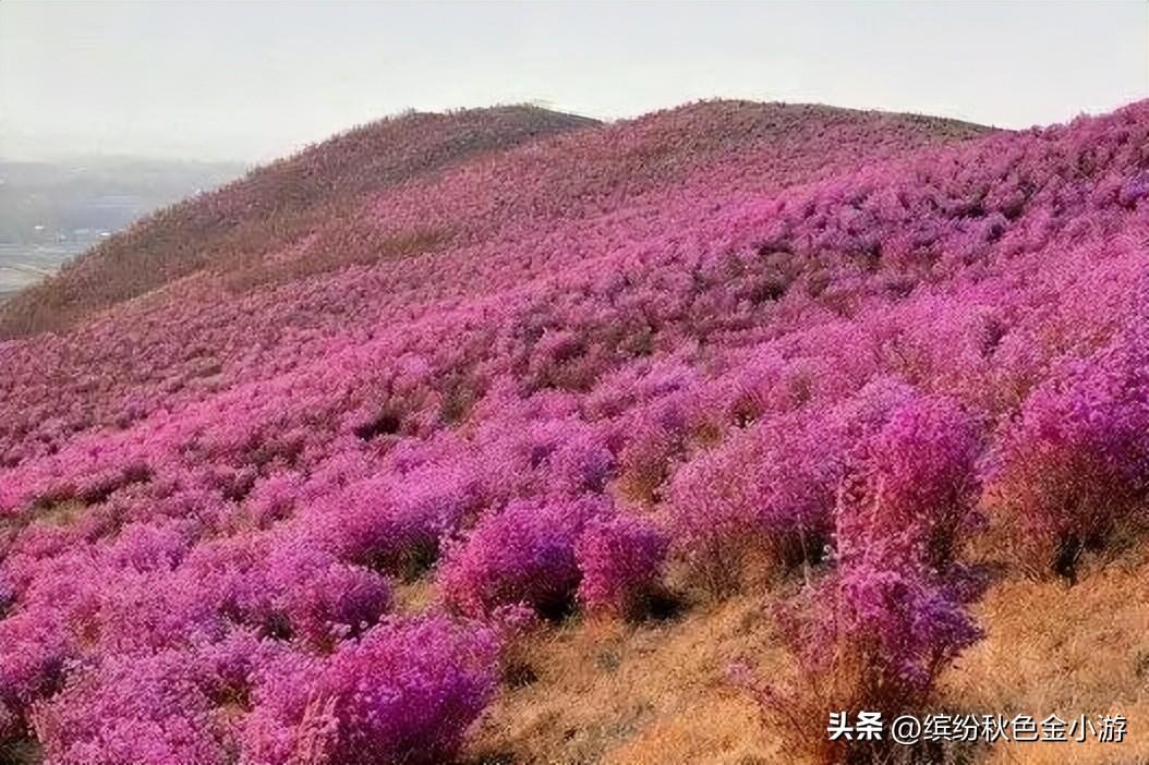 内蒙阿尔山旅游路线自驾（阿尔山旅游攻略必玩景点）