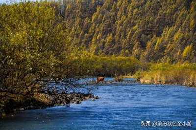 ​内蒙阿尔山旅游路线自驾（阿尔山旅游攻略必玩景点）