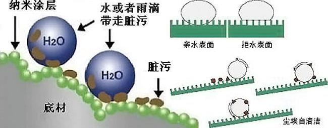 荷叶为什么会出淤泥而不染（荷叶的叶面为什么不沾水）