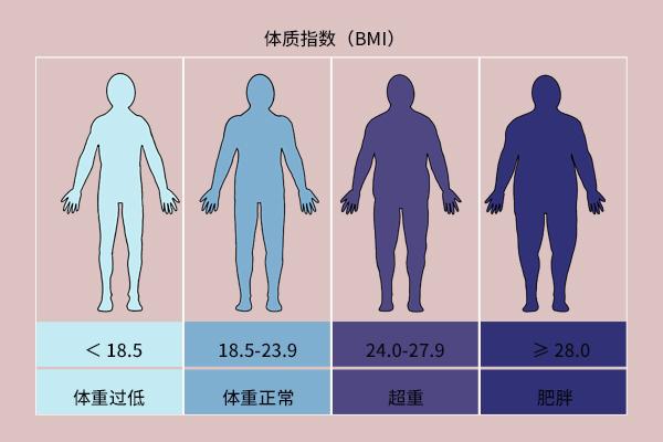 女性bmi数值（bmi正常值范围是多少女生）