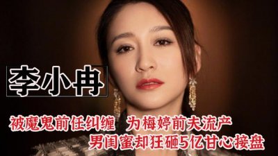 ​李小冉和梅婷恩怨（被魔鬼前任威胁）