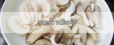 ​平菇冻了还能吃吗?