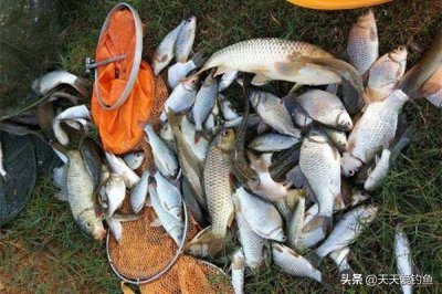 ​正在下雨钓鱼是钓底吗(下雨应该钓底还是钓浮)