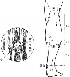 ​三阴交穴  清热解毒消肿类 承山—三阴交