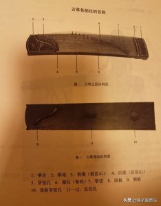 ​成人学古筝零基础入门教程 网站无障碍（中老年朋友零基础学古筝，先了解古筝的