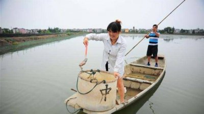 ​河蟹吃什么可以养活(池塘养殖河蟹之常见饲料种类及投喂技术分享)