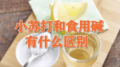 ​小苏打和食用碱和面有什么区别 食用碱面和食用小苏打是一样的吗