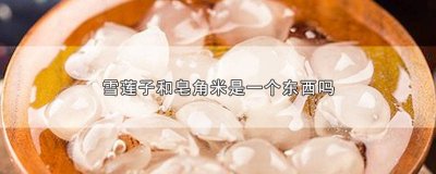 ​雪莲子也是皂角米吗 皂角米和雪莲子一样吗