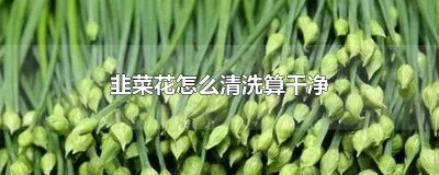 ​韭菜花怎么洗更干净 韭菜花如何清洗