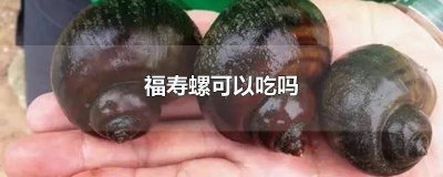 ​吃福寿螺的好处 为啥不能吃福寿螺