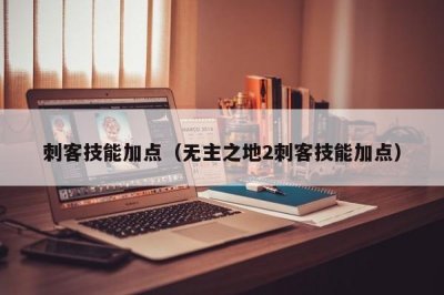 ​刺客技能加点（无主之地2刺客技能加点）