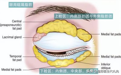 ​眼睛凹陷怎么办（眼窝凹陷是什么原因？眼窝凹陷能自然恢复吗？如何解决眼窝凹