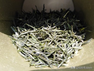 ​毛尖需要洗茶吗? 信阳毛尖洗茶需考虑的因素？