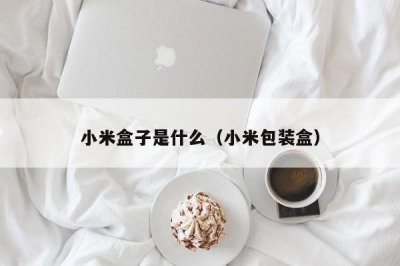 ​小米盒子是什么（小米包装盒）