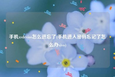 ​手机xvdevios怎么进忘了(手机进入密码忘记了怎么办vivo)